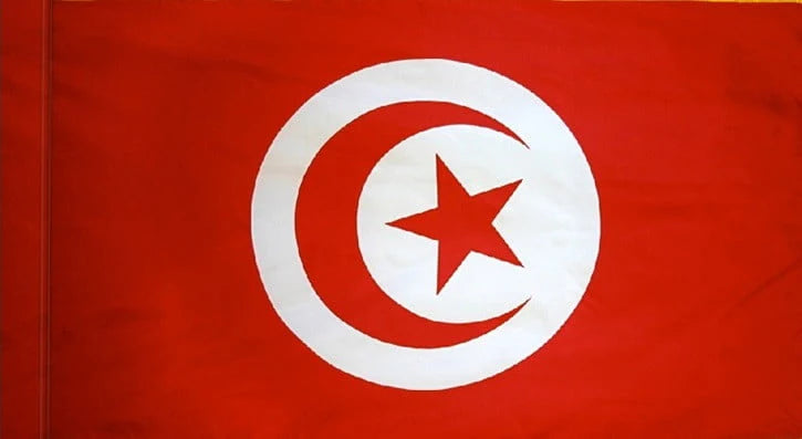 Tunisia Flag with Pole Sleeve - For Indoor Use