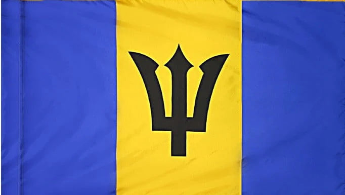 Barbados Flag with Pole Sleeve - For Indoor Use