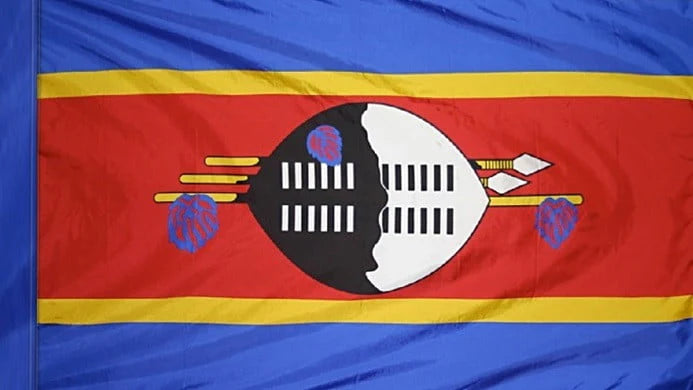 Swaziland Flag with Pole Sleeve - For Indoor Use