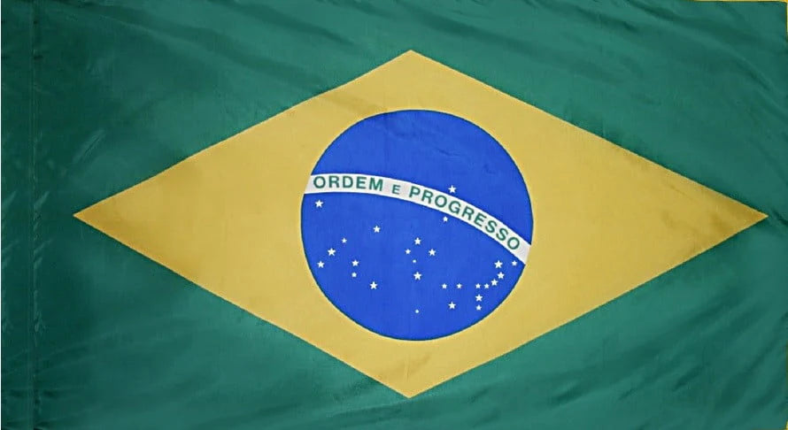 Brazil Flag with Pole Sleeve - For Indoor Use