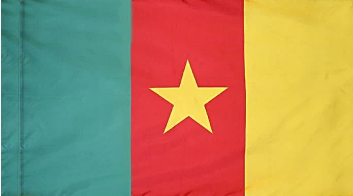 Cameroon Flag with Pole Sleeve - For Indoor Use
