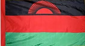 Malawi Flag with Pole Sleeve - For Indoor Use