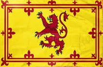 Scotland Rampant Lion Flag with Pole Sleeve - For Indoor Use