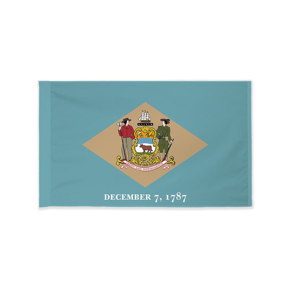 Delaware state flag with pole sleeve