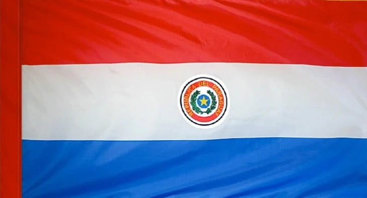 Paraguay Flag with Pole Sleeve - For Indoor Use