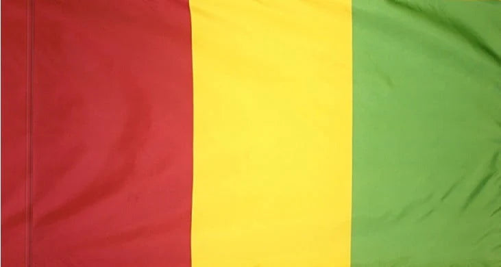 Guinea Flag with Pole Sleeve - For Indoor Use