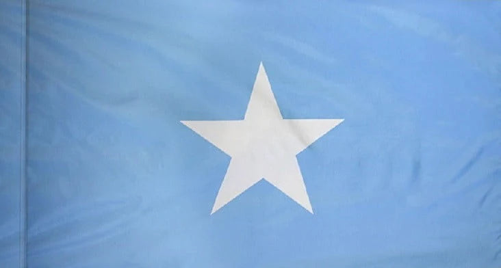 Somalia Flag with Pole Sleeve - For Indoor Use