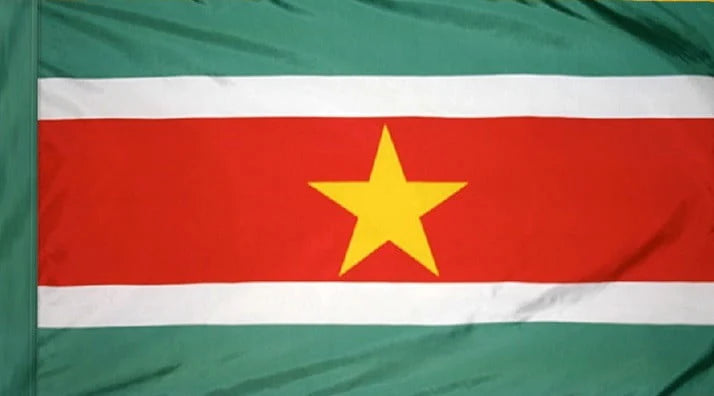 Suriname Flag with Pole Sleeve - For Indoor Use