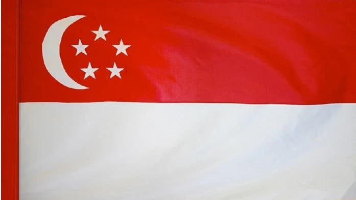 Singapore Flag with Pole Sleeve - For Indoor Use