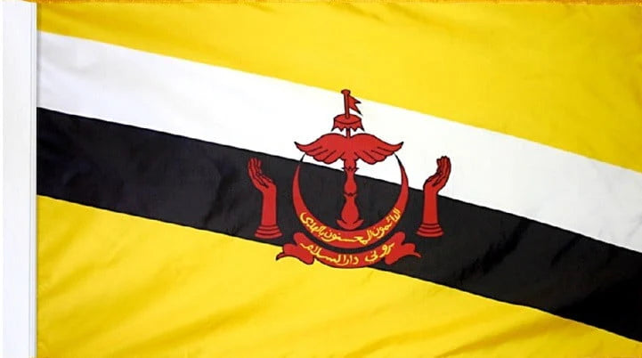 Brunei Flag with Pole Sleeve - For Indoor Use