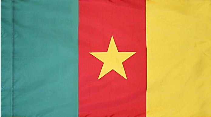 Cameroon - Flag with Pole Sleeve