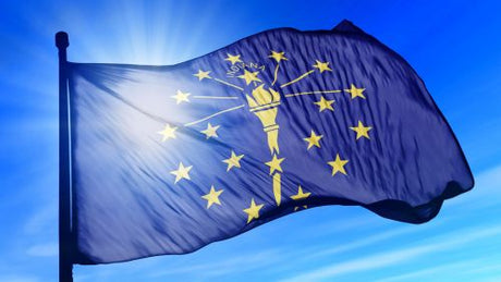 Indiana state flag featuring a gold torch surrounded by 19 stars on a dark blue background.