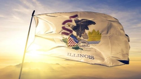 The Illinois state flag flying on a flagpole with the sun shining through