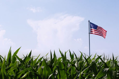 American flag flying on a pole in a field