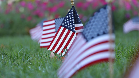 Small American flags planted in grass with a blurred floral background