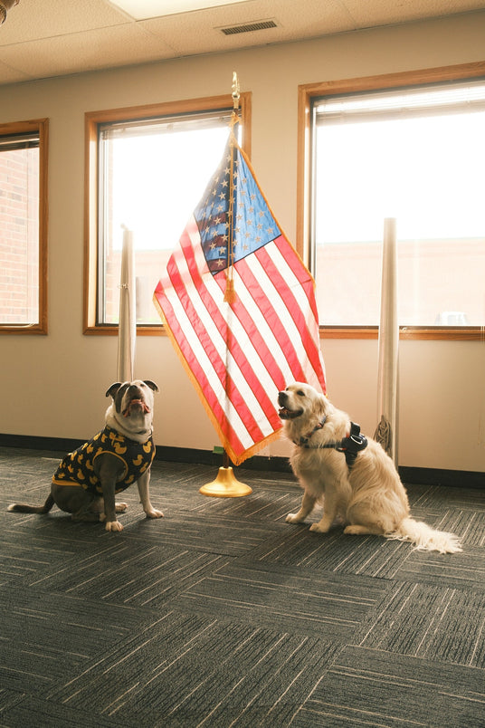 Indoor American Flag Sets