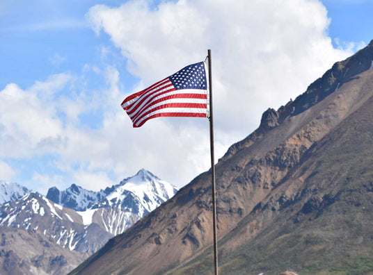 Nylon American Flags