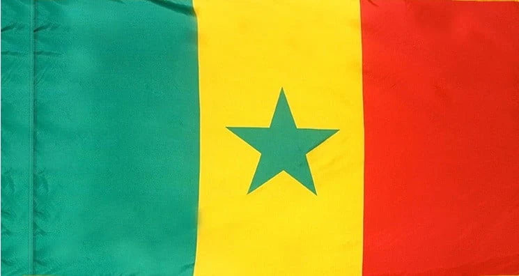 Senegal Flag with Pole Sleeve - For Indoor Use