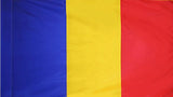 Romania Flag with Pole Sleeve - For Indoor Use