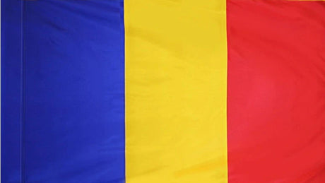 Romania Flag with Pole Sleeve - For Indoor Use