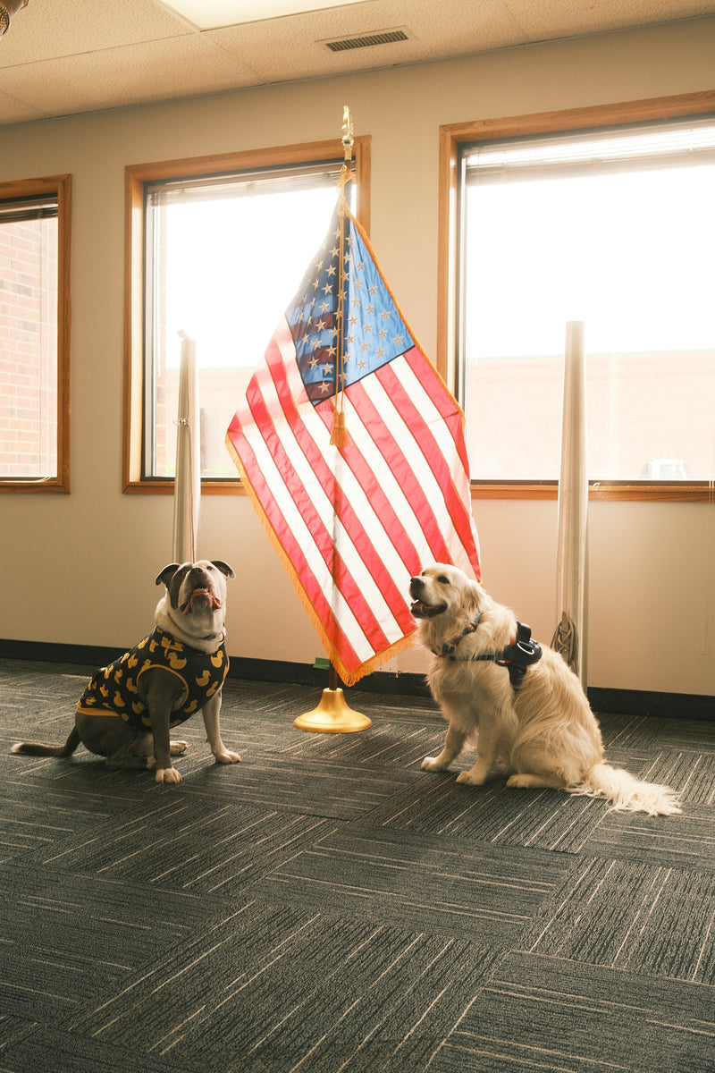 American Flag Etiquette Rules | How to Display the U.S. Flag – Flags USA