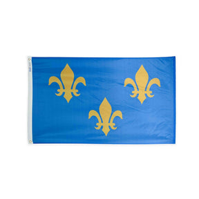 Nylon Fleur De Lis blue flag with grommets