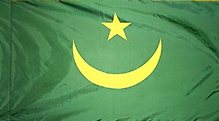 Mauritania Flag with Pole Sleeve - For Indoor Use
