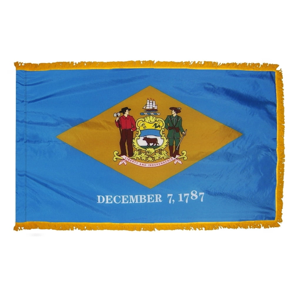 Delaware flag with pole sleeve and fringe