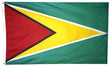 Guyana - Outdoor Flag with heading & grommets