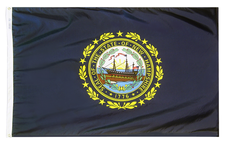 New Hampshire - State Flag (finished with heading and grommets)