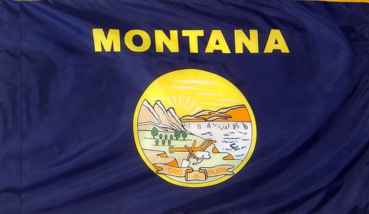 Montana - State Flag with Pole Sleeve - For Indoor Use