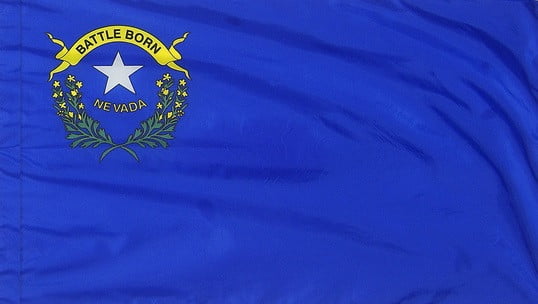 Nevada - State Flag with Pole Sleeve - For Indoor Use