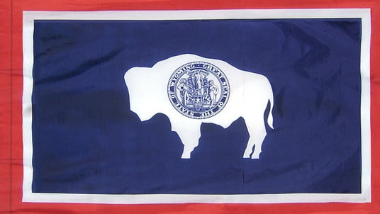 Wyoming - State Flag with Pole Sleeve - For Indoor Use