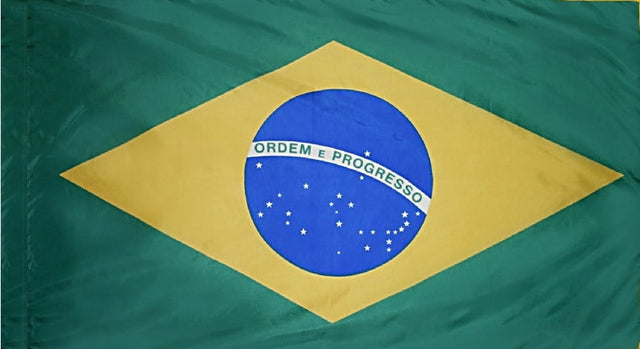 Brazil - Flag with Pole Sleeve