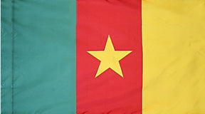 Cameroon - Flag with Pole Sleeve