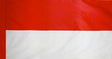 Indonesia - Flag with Pole Sleeve