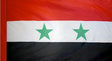 Syria - Flag with Pole Sleeve