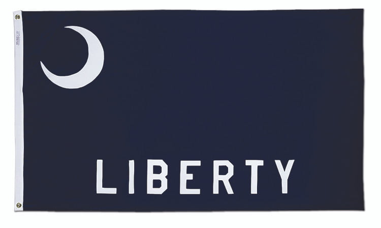 Fort Moultrie Flag - 3'x5' - For Outdoor Use