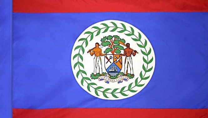 Belize Flag with Pole Sleeve - For Indoor Use