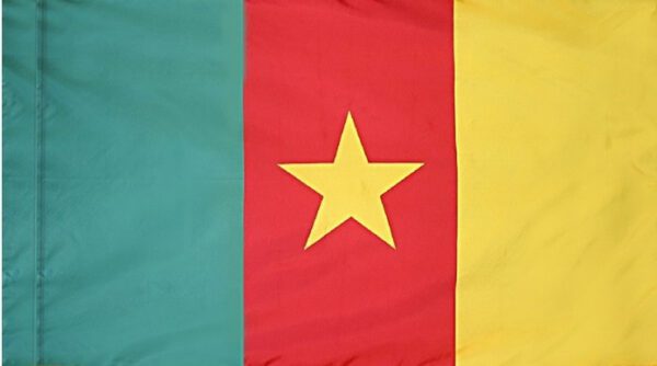 Cameroon flag with pole sleeve - for indoor use