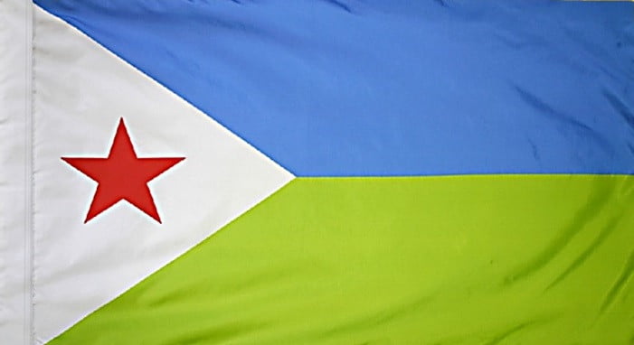 Djibouti Flag with Pole Sleeve - For Indoor Use