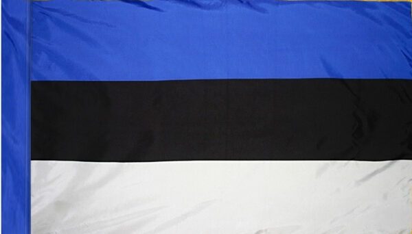 Estonia flag with pole sleeve - for indoor use