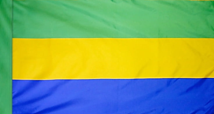 Gabon Flag with Pole Sleeve - For Indoor Use