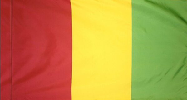 Guinea flag with pole sleeve - for indoor use
