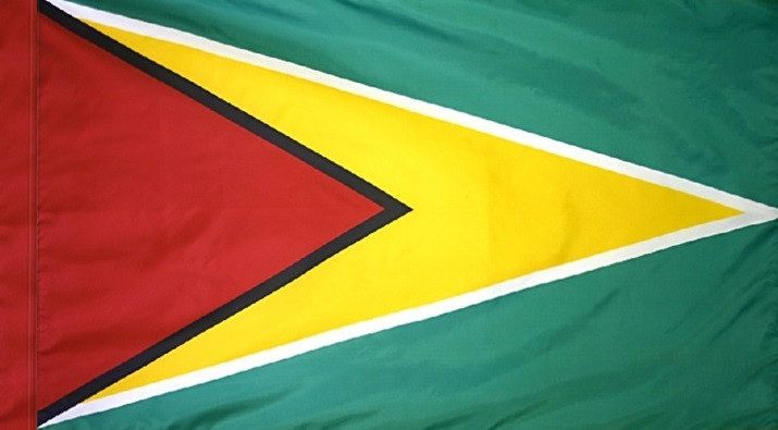 Guyana Flag with Pole Sleeve - For Indoor Use