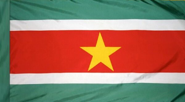 Suriname flag with pole sleeve - for indoor use