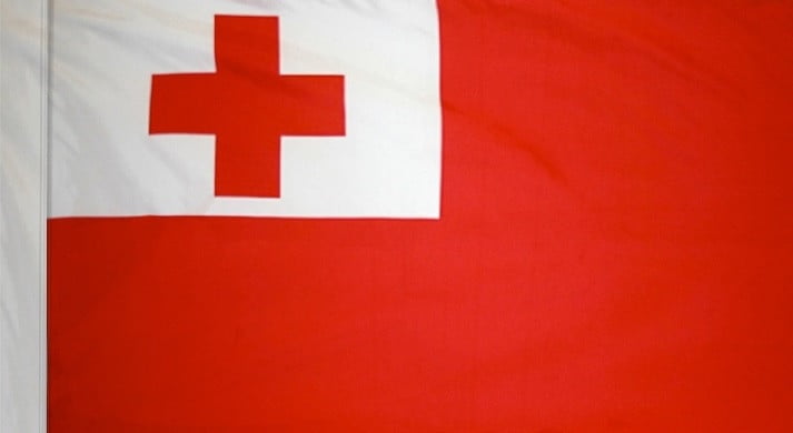 Tonga Flag with Pole Sleeve - For Indoor Use