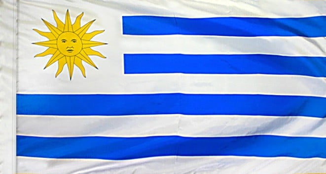 Uruguay Flag with Pole Sleeve - For Indoor Use