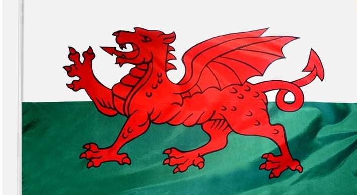 Wales Flag with Pole Sleeve - For Indoor Use