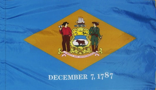 Delaware - State Flag with Pole Sleeve - For Indoor Use
